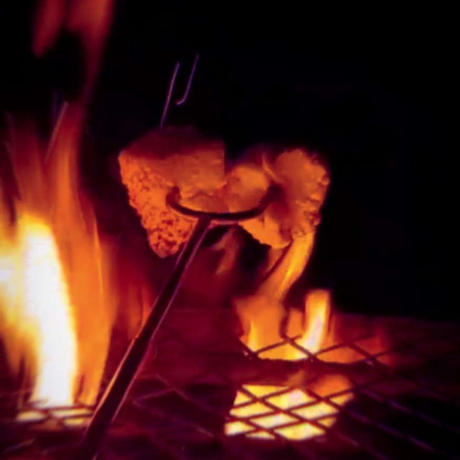 Wildcat cover art: marshmallows roasting over a glowing campfire